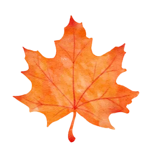Orange autumn leaf symbolizing fall season, relevant to crane operations and construction activity in Southern Massachusetts.